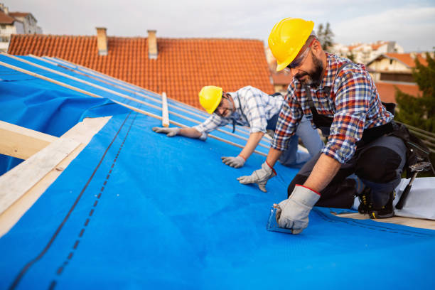 Best Metal Roofing Contractor  in Rock Island, IL