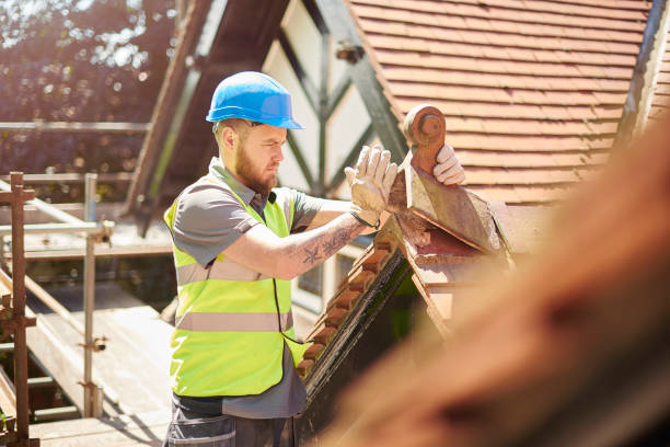 Best Roof Gutter Cleaning  in Rock Island, IL